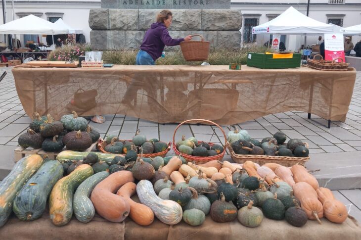 671893a1 fa70 40a6 a144 02a4c91dd50a